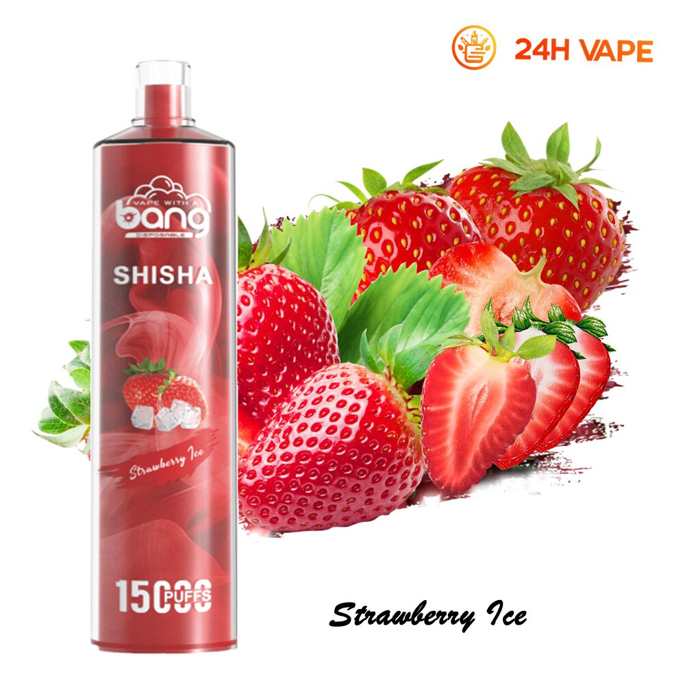 Bang SHISHA 15000 Puffs Direct To Lung Disposable Electronic Cigarette New Vape Pen - Image 11