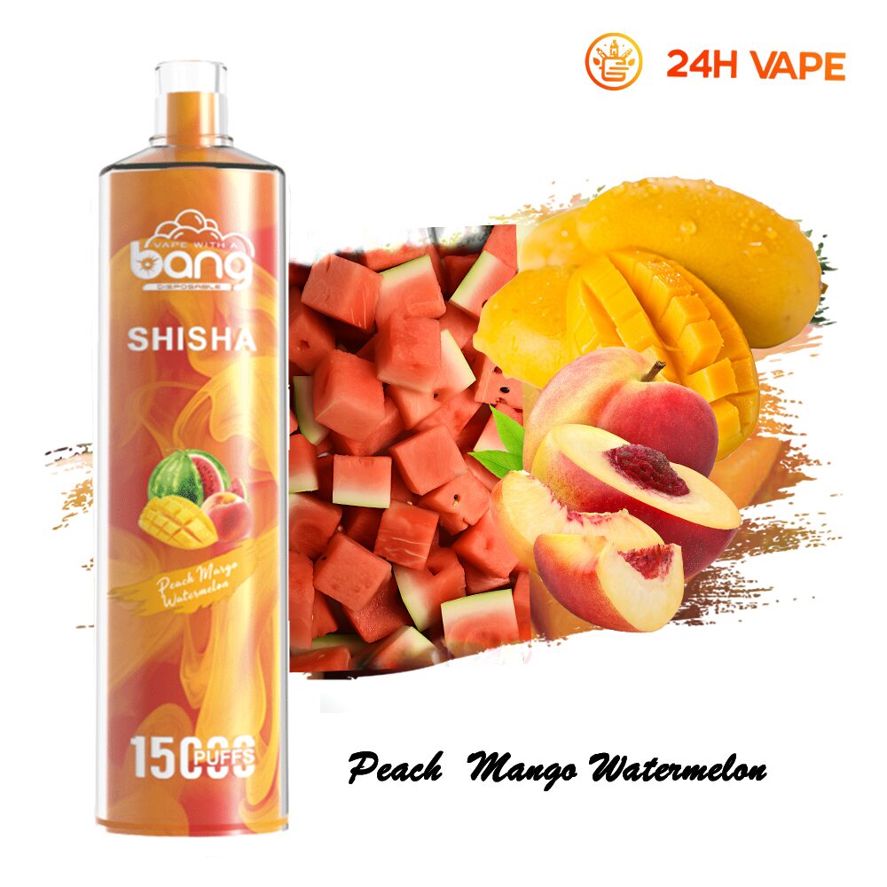 Bang SHISHA 15000 Puffs Direct To Lung Disposable Electronic Cigarette New Vape Pen - Image 37