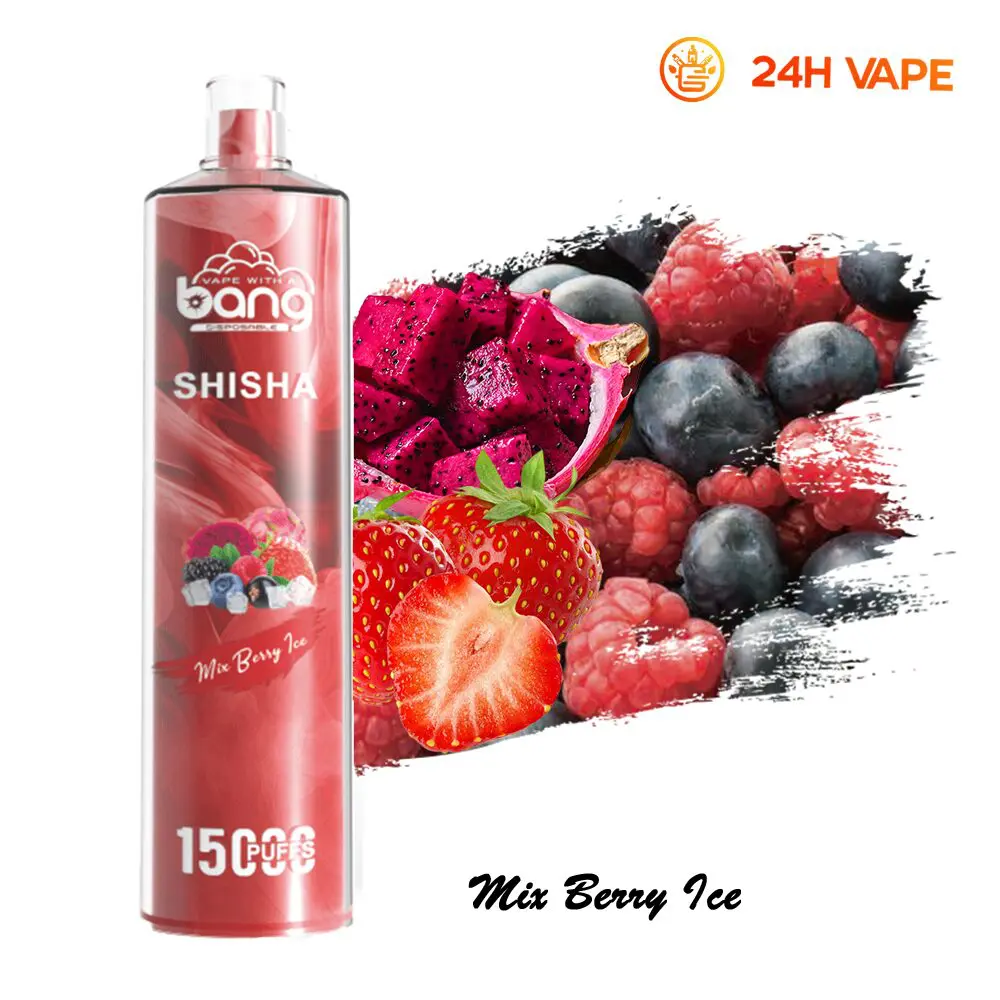 Bang SHISHA 15000 Puffs Direct To Lung Disposable Electronic Cigarette New Vape Pen - Image 18