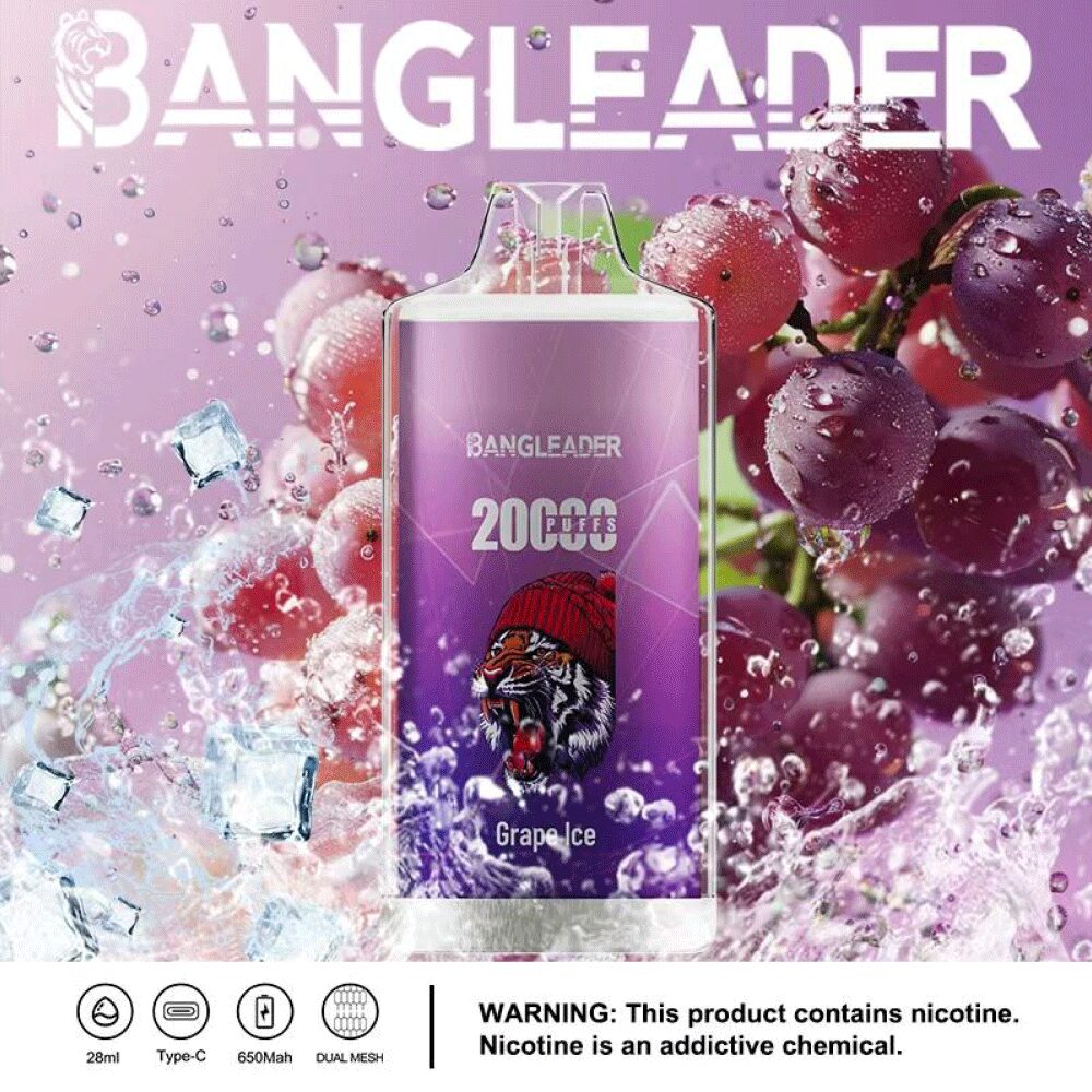 Bang Leader 20000 20K Puffs Newest Product Disposable Vape - Image 19