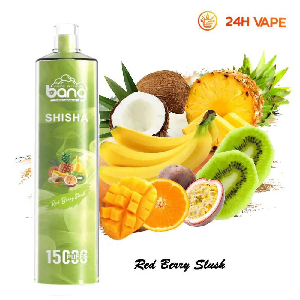 Bang SHISHA 15000 Puffs Direct To Lung Disposable Electronic Cigarette New Vape Pen - Image 6
