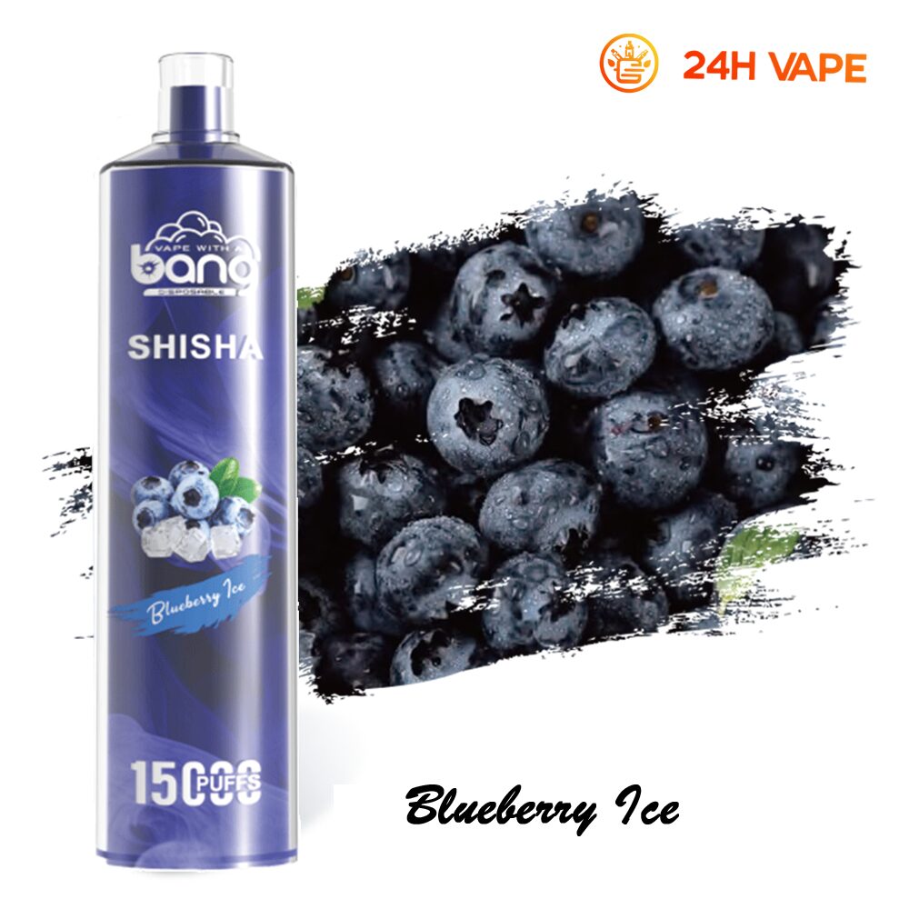 Bang SHISHA 15000 Puffs Direct To Lung Disposable Electronic Cigarette New Vape Pen - Image 33