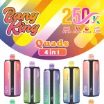 Bang King 250000 (250K) Puffs 4 in 1 Disposable Vape