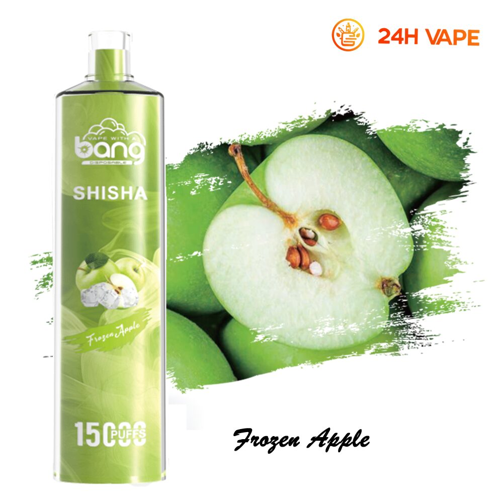 Bang SHISHA 15000 Puffs Direct To Lung Disposable Electronic Cigarette New Vape Pen - Image 27
