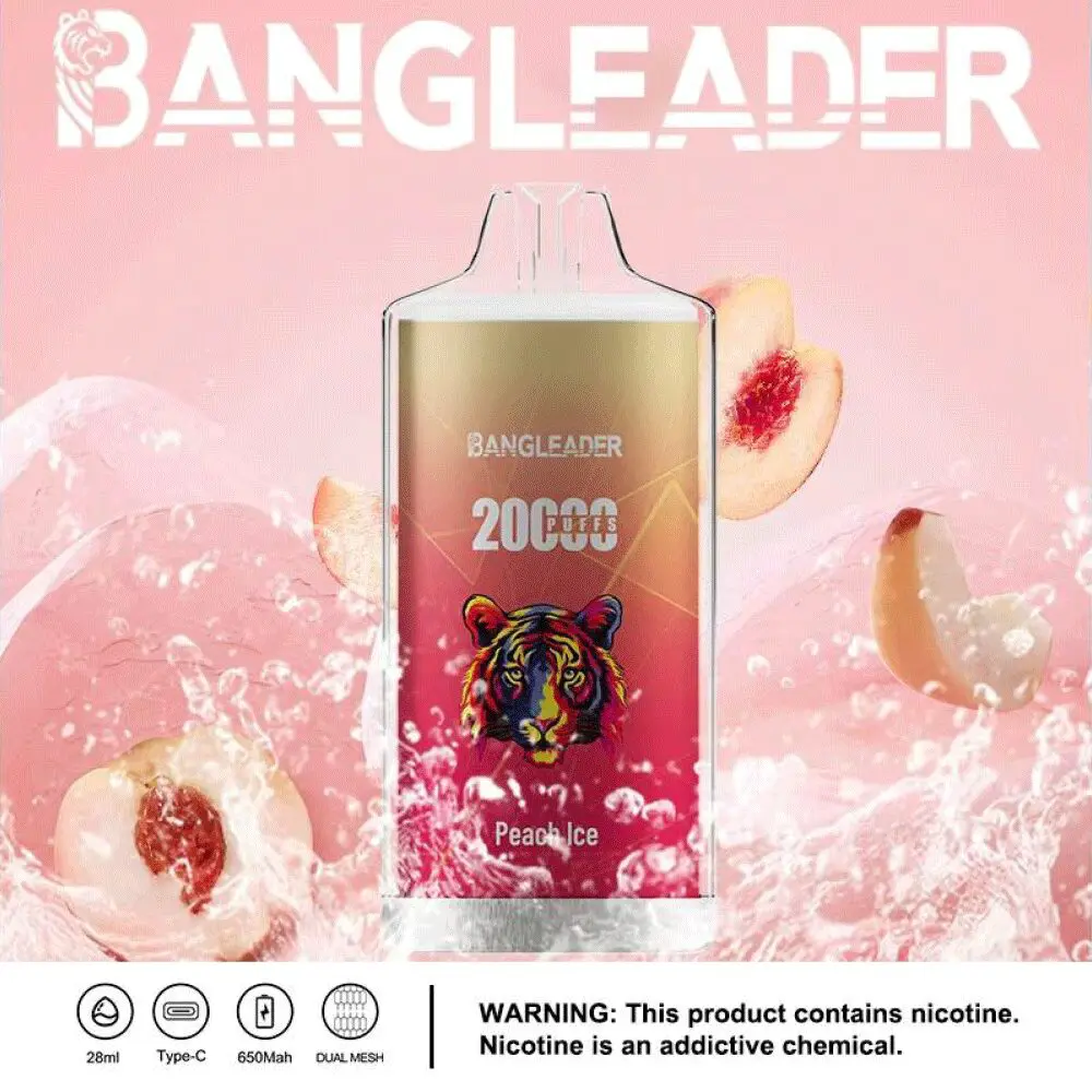 Bang Leader 20000 20K Puffs Newest Product Disposable Vape - Image 14