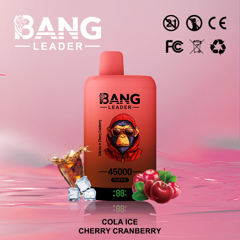 Bang Leader 45000 45K Puffs 2% 3% 5% Nicotine Double Taste LED Display Disposable Vape - Image 19
