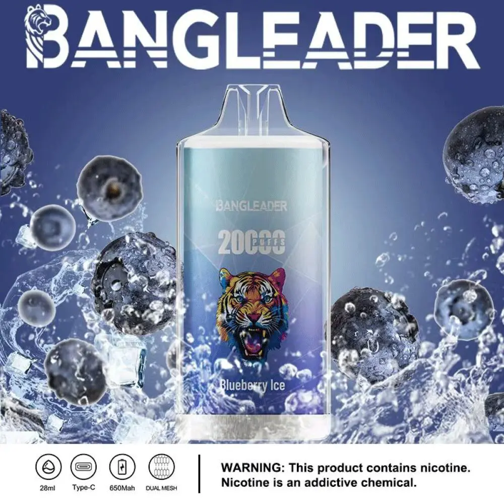 Bang Leader 20000 20K Puffs Newest Product Disposable Vape - Image 26