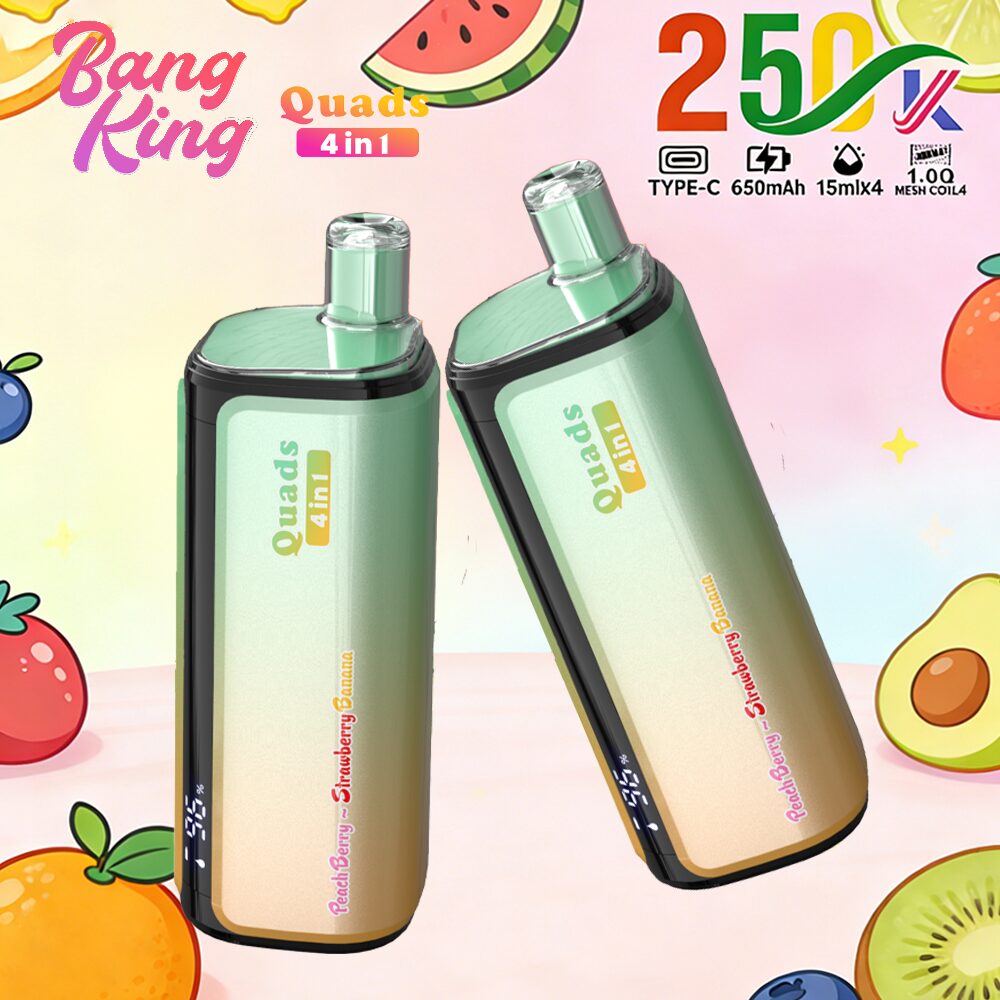 Bang King 250000 250K Puffs 4 In 1 Flavors Original Rechargeable LED Display Disposable Vape - Image 11