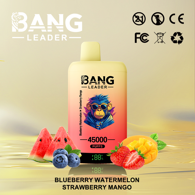 Bang Leader 45000 45K Puffs 2% 3% 5% Nicotine Double Taste LED Display Disposable Vape - Image 21