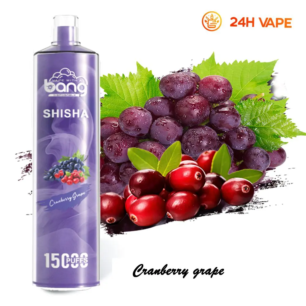 Bang SHISHA 15000 Puffs Direct To Lung Disposable Electronic Cigarette New Vape Pen - Image 30
