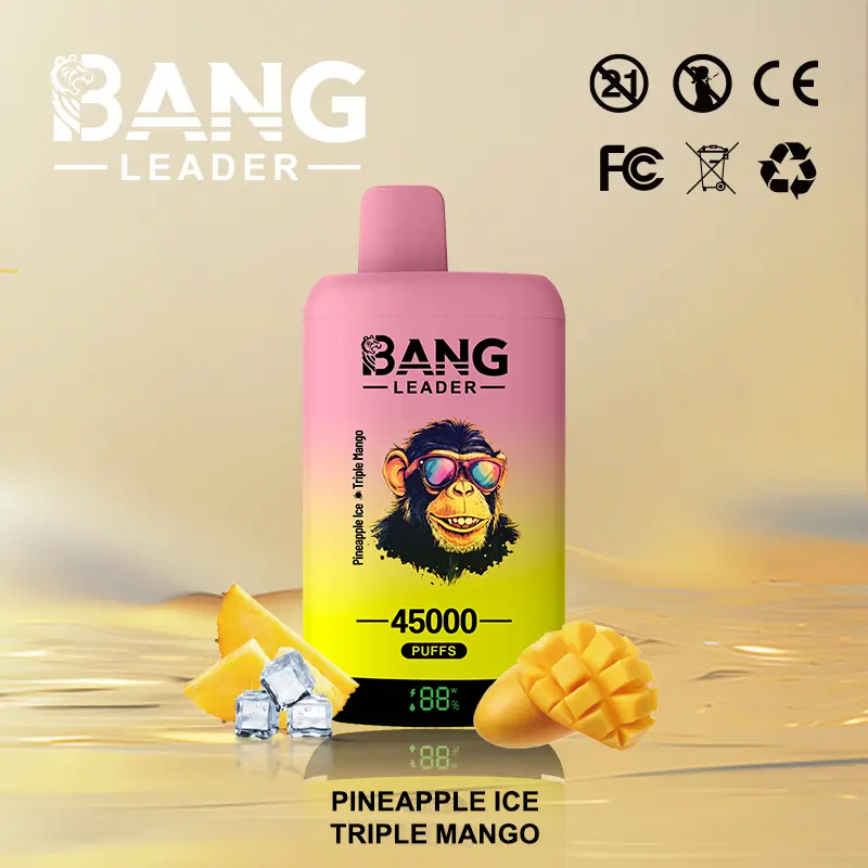 Bang Leader 45000 45K Puffs 2% 3% 5% Nicotine Double Taste LED Display Disposable Vape - Image 18