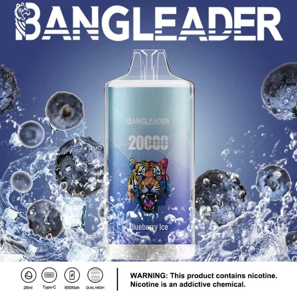 Bang Leader 20000 20K Puffs Newest Product Disposable Vape - Image 25