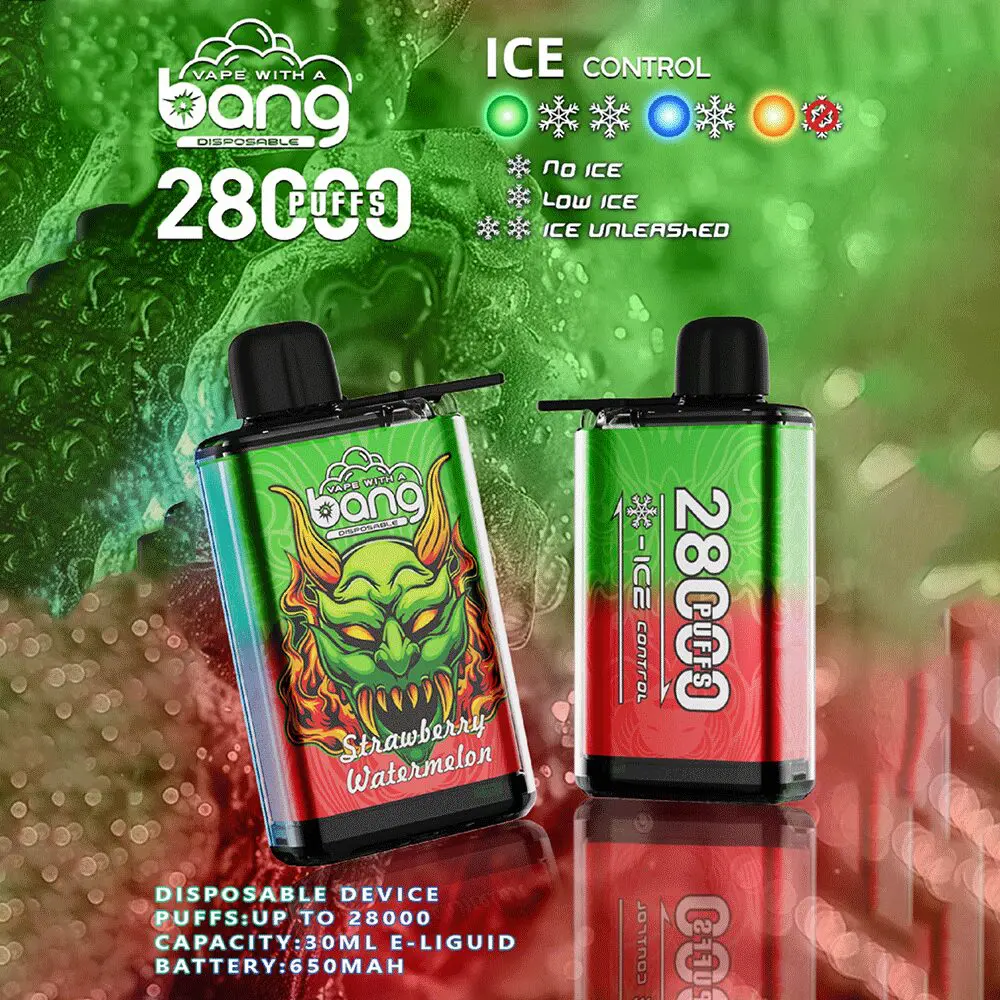 Bang 28000 28K Puffs Original Adjustable Ice level Disposable Vape Pen - Image 2