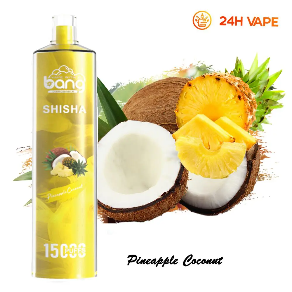 Bang SHISHA 15000 Puffs Direct To Lung Disposable Electronic Cigarette New Vape Pen - Image 16