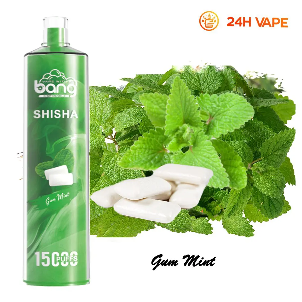 Bang SHISHA 15000 Puffs Direct To Lung Disposable Electronic Cigarette New Vape Pen - Image 26