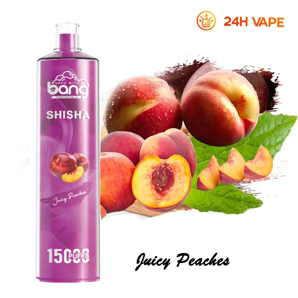 Bang SHISHA 15000 Puffs Direct To Lung Disposable Electronic Cigarette New Vape Pen - Image 24