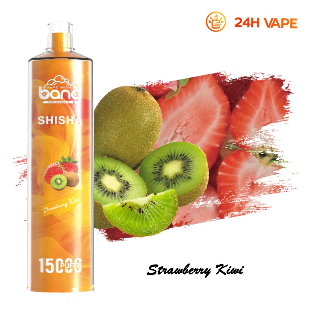 Bang SHISHA 15000 Puffs Direct To Lung Disposable Electronic Cigarette New Vape Pen - Image 9