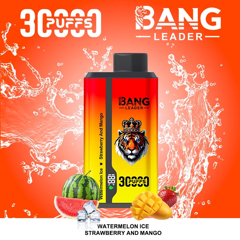 Bang Leader 30000 Puffs 2 in 1 Dual Flavors Disposable Vape 36ml 0-5% Nicotine - Image 3