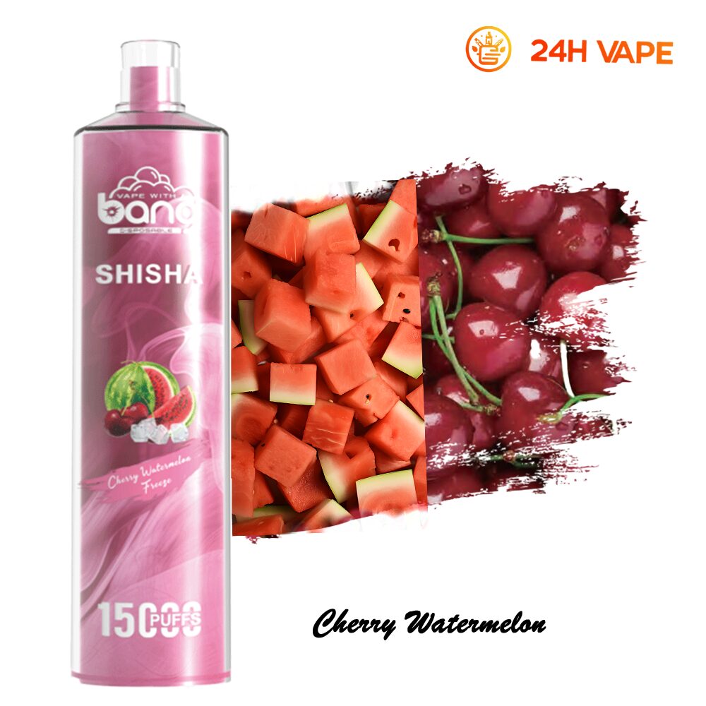 Bang SHISHA 15000 Puffs Direct To Lung Disposable Electronic Cigarette New Vape Pen - Image 31