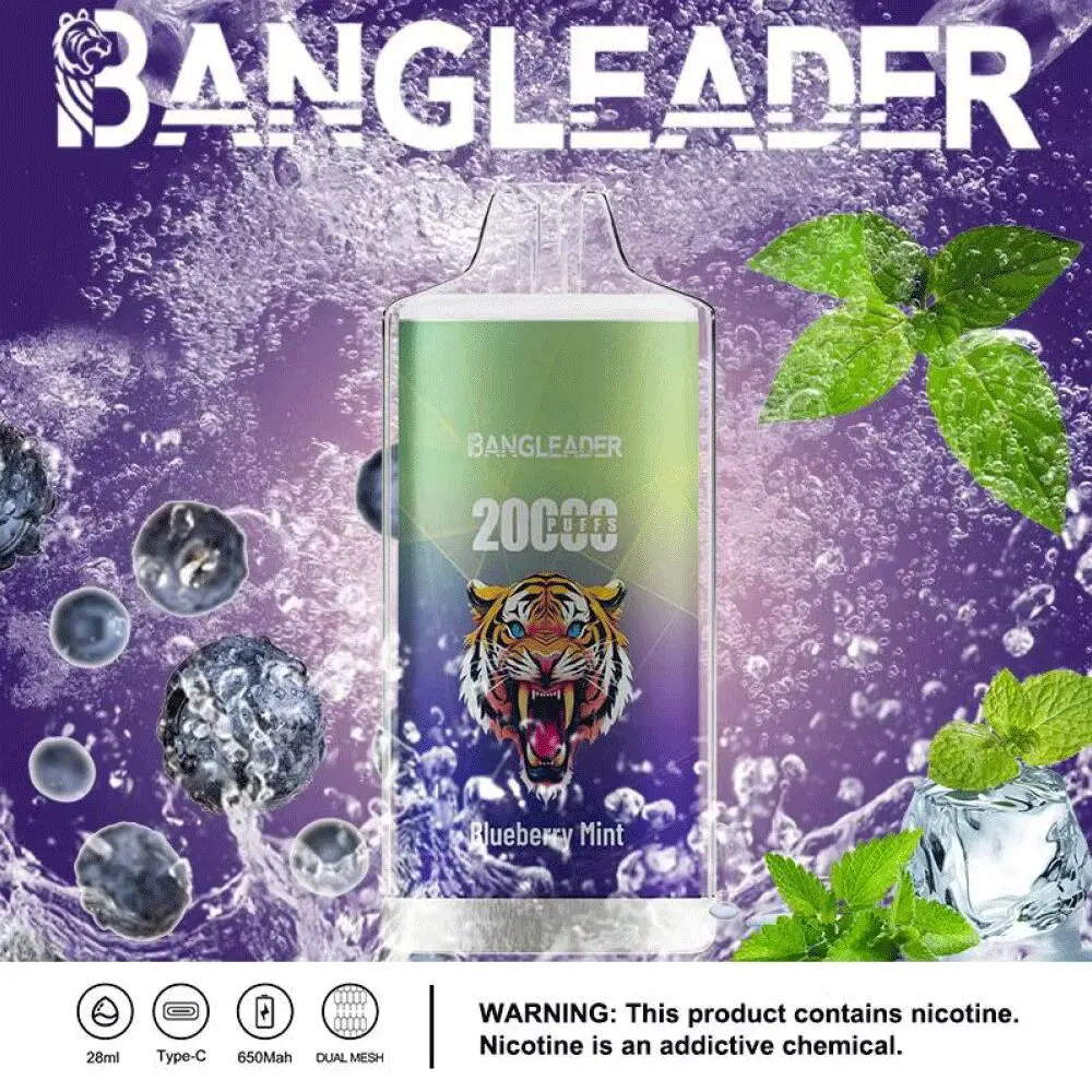Bang Leader 20000 20K Puffs Newest Product Disposable Vape - Image 24