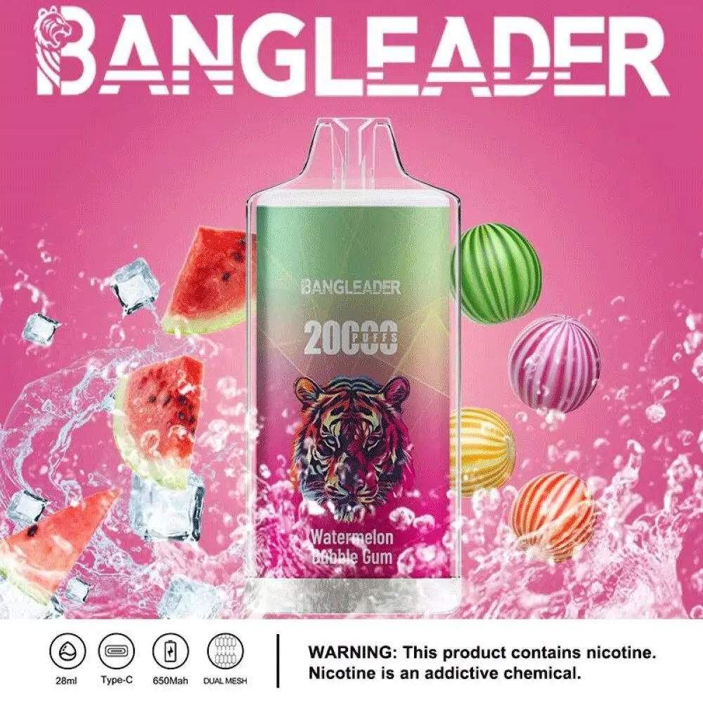 Bang Leader 20000 20K Puffs Newest Product Disposable Vape - Image 6