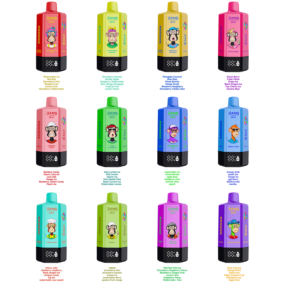 Bang Leader 300K 300000 Puffs 6-in-1 Flavors Rechargeable LED Display Disposable Vape - Image 4