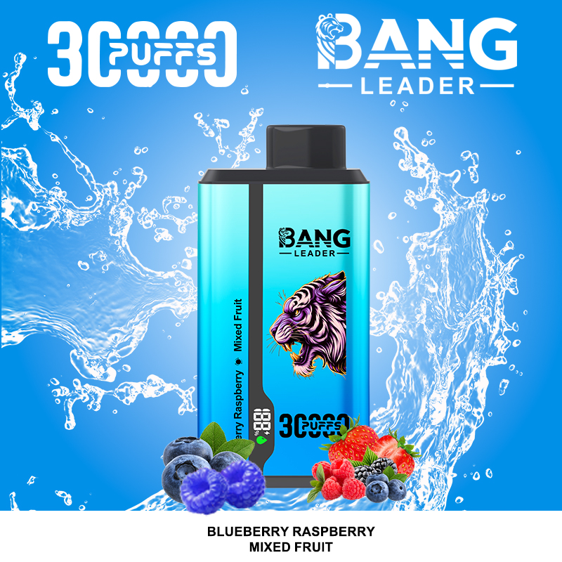 Bang Leader 30000 Puffs 2 in 1 Dual Flavors Disposable Vape 36ml 0-5% Nicotine - Image 2