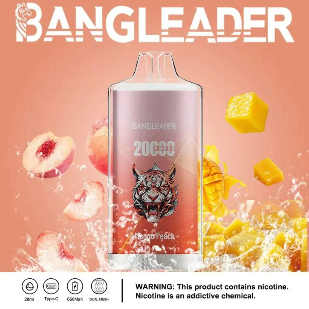 Bang Leader 20000 20K Puffs Newest Product Disposable Vape - Image 18