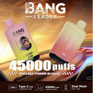 Bang Leader 45000 45K Puffs 2% 3% 5% Nicotine Double Taste LED Display Disposable Vape