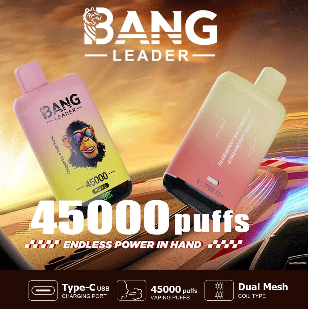 Bang Leader 45000 45K Puffs 2% 3% 5% Nicotine Double Taste LED Display Disposable Vape