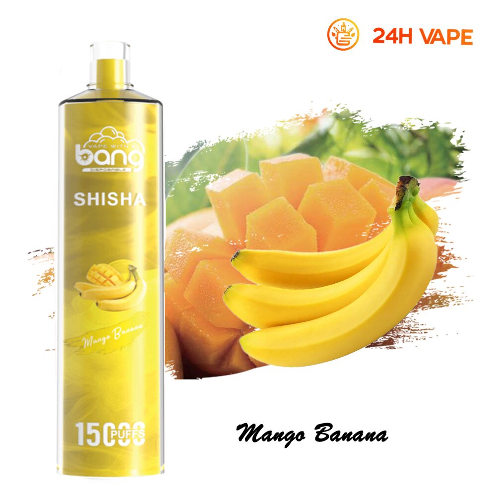 Bang SHISHA 15000 Puffs Direct To Lung Disposable Electronic Cigarette New Vape Pen - Image 39