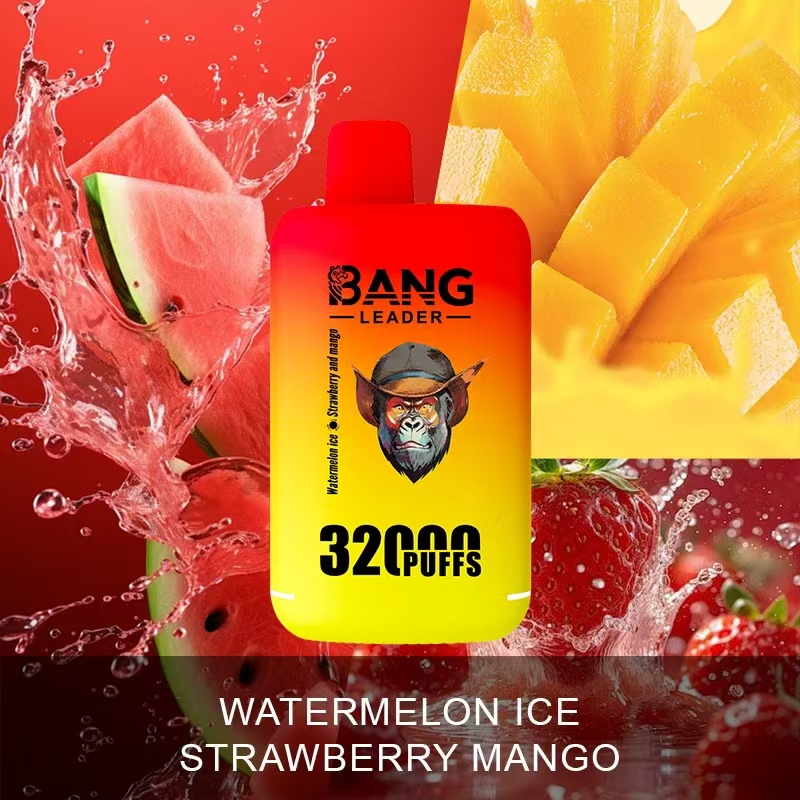Bang Leader 32000 32k Puffs 0% 2% 3% 5% Nicotine Double Taste Disposable Vape - Image 11