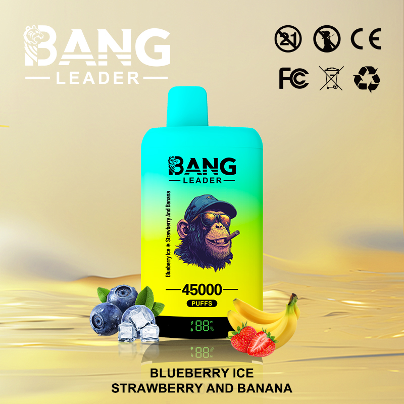 Bang Leader 45000 45K Puffs 2% 3% 5% Nicotine Double Taste LED Display Disposable Vape - Image 25