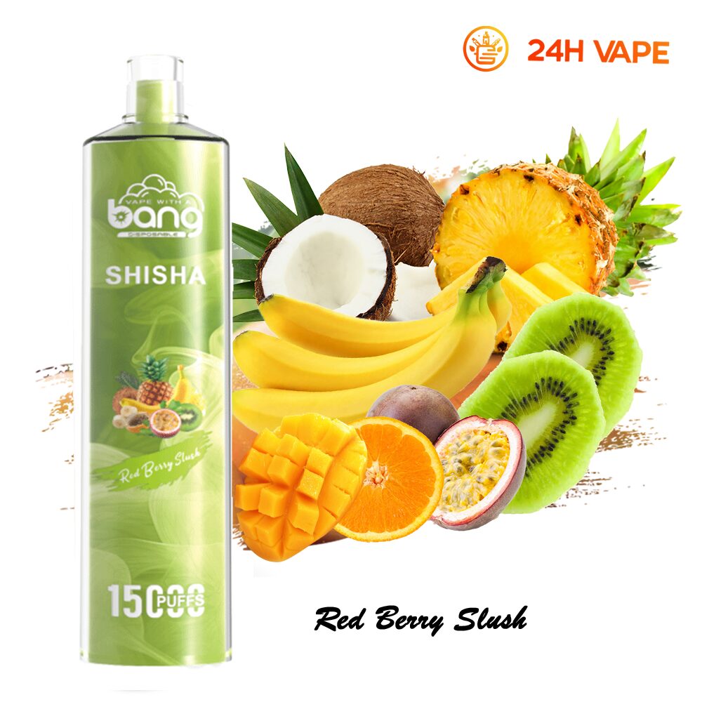 Bang SHISHA 15000 Puffs Direct To Lung Disposable Electronic Cigarette New Vape Pen - Image 5