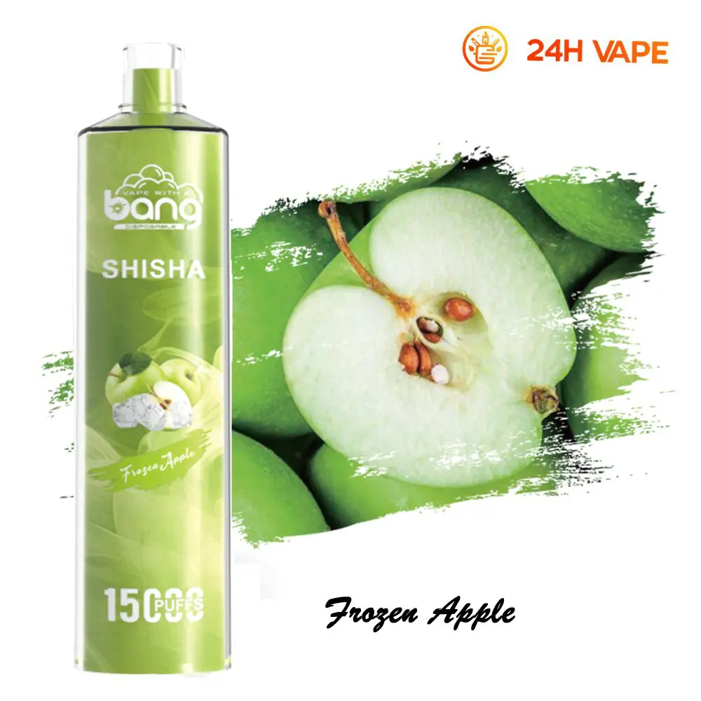 Bang SHISHA 15000 Puffs Direct To Lung Disposable Electronic Cigarette New Vape Pen - Image 28