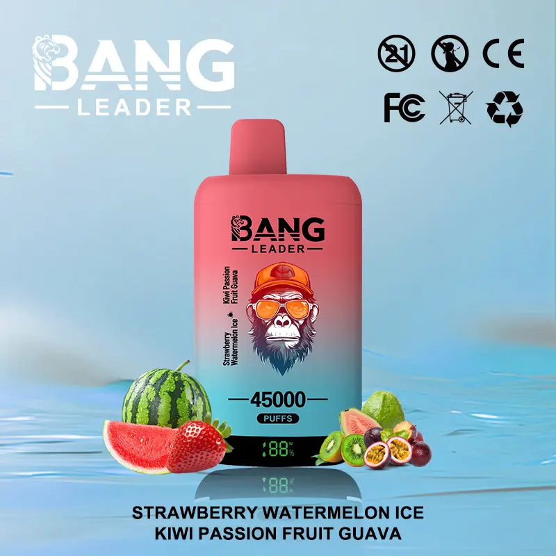 Bang Leader 45000 45K Puffs 2% 3% 5% Nicotine Double Taste LED Display Disposable Vape - Image 8