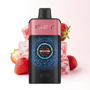 IGET ONE 12000 Puffs – AU Warehouse