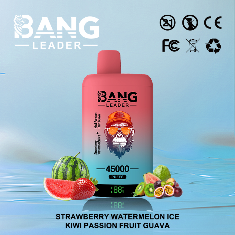 Bang Leader 45000 45K Puffs 2% 3% 5% Nicotine Double Taste LED Display Disposable Vape - Image 7