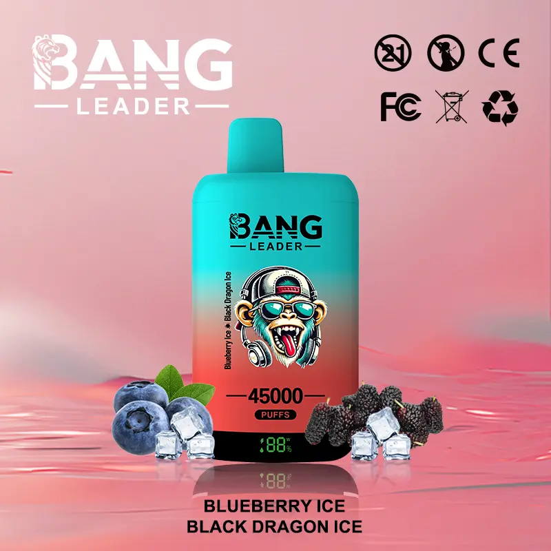 Bang Leader 45000 45K Puffs 2% 3% 5% Nicotine Double Taste LED Display Disposable Vape - Image 28