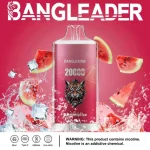 Bang Leader 20000 Puffs Disposable Vape 28ml 0-5% Nicotine LED Digital Display