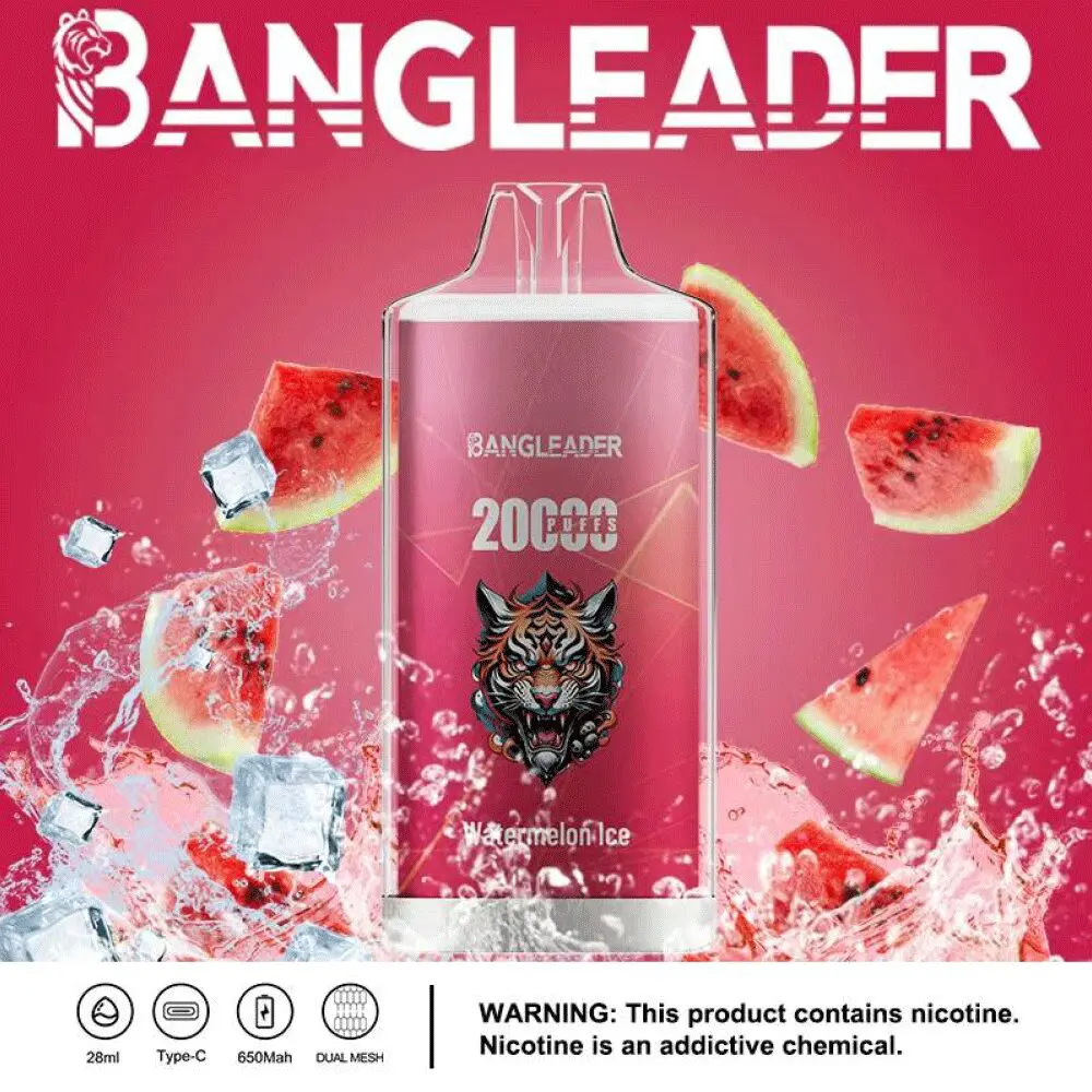 Bang Leader 20000 Puffs Disposable Vape 28ml 0-5% Nicotine LED Digital Display