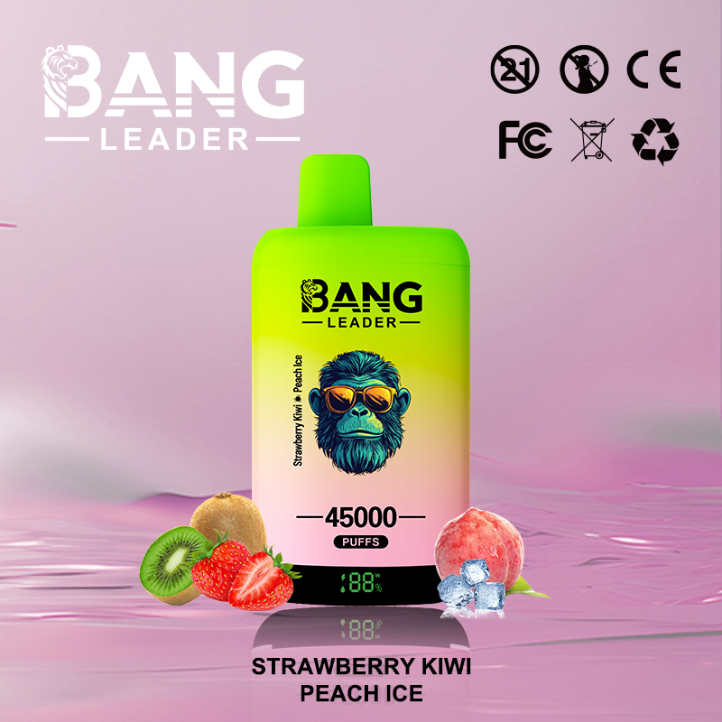 Bang Leader 45000 45K Puffs 2% 3% 5% Nicotine Double Taste LED Display Disposable Vape - Image 11