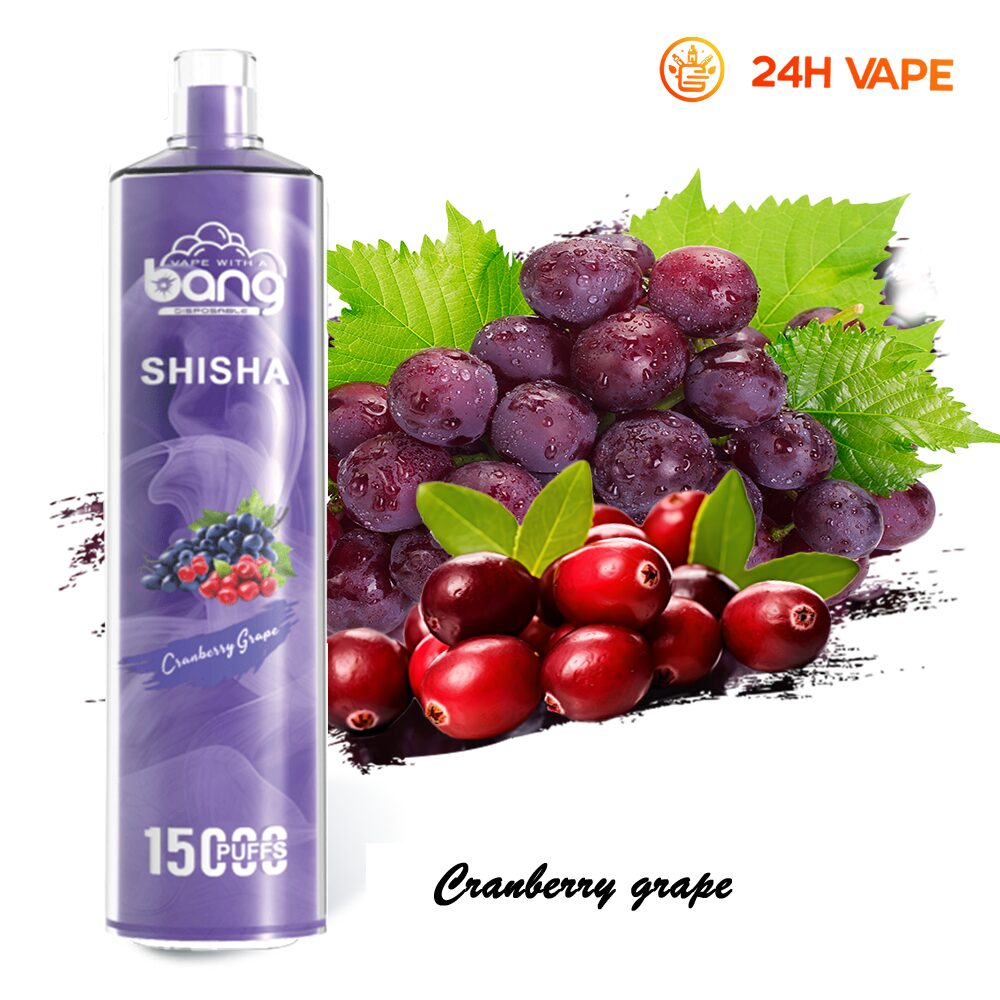 Bang SHISHA 15000 Puffs Direct To Lung Disposable Electronic Cigarette New Vape Pen - Image 29