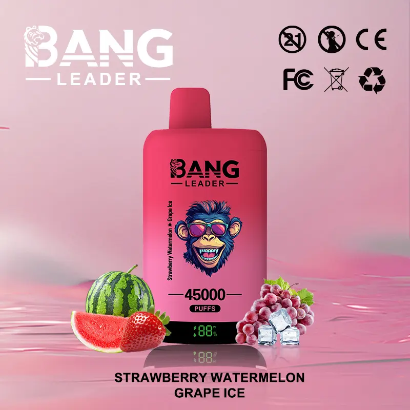 Bang Leader 45000 45K Puffs 2% 3% 5% Nicotine Double Taste LED Display Disposable Vape - Image 10