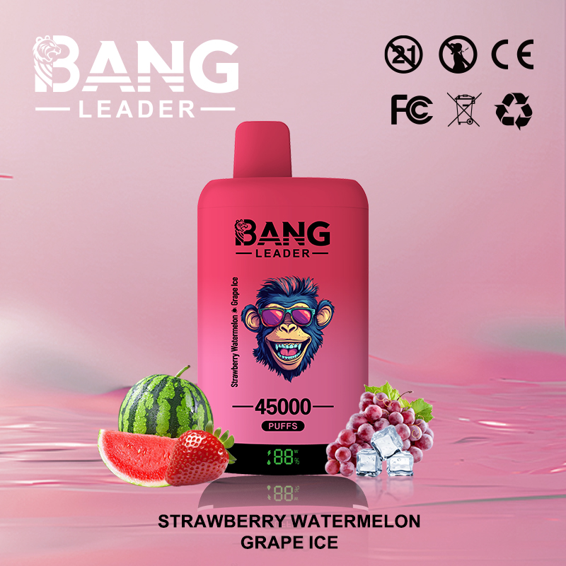 Bang Leader 45000 45K Puffs 2% 3% 5% Nicotine Double Taste LED Display Disposable Vape - Image 9