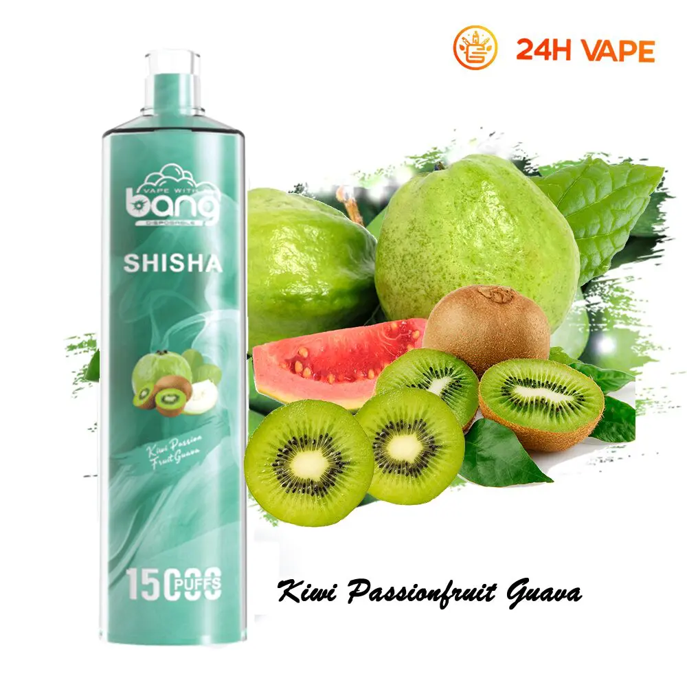 Bang SHISHA 15000 Puffs Direct To Lung Disposable Electronic Cigarette New Vape Pen - Image 22