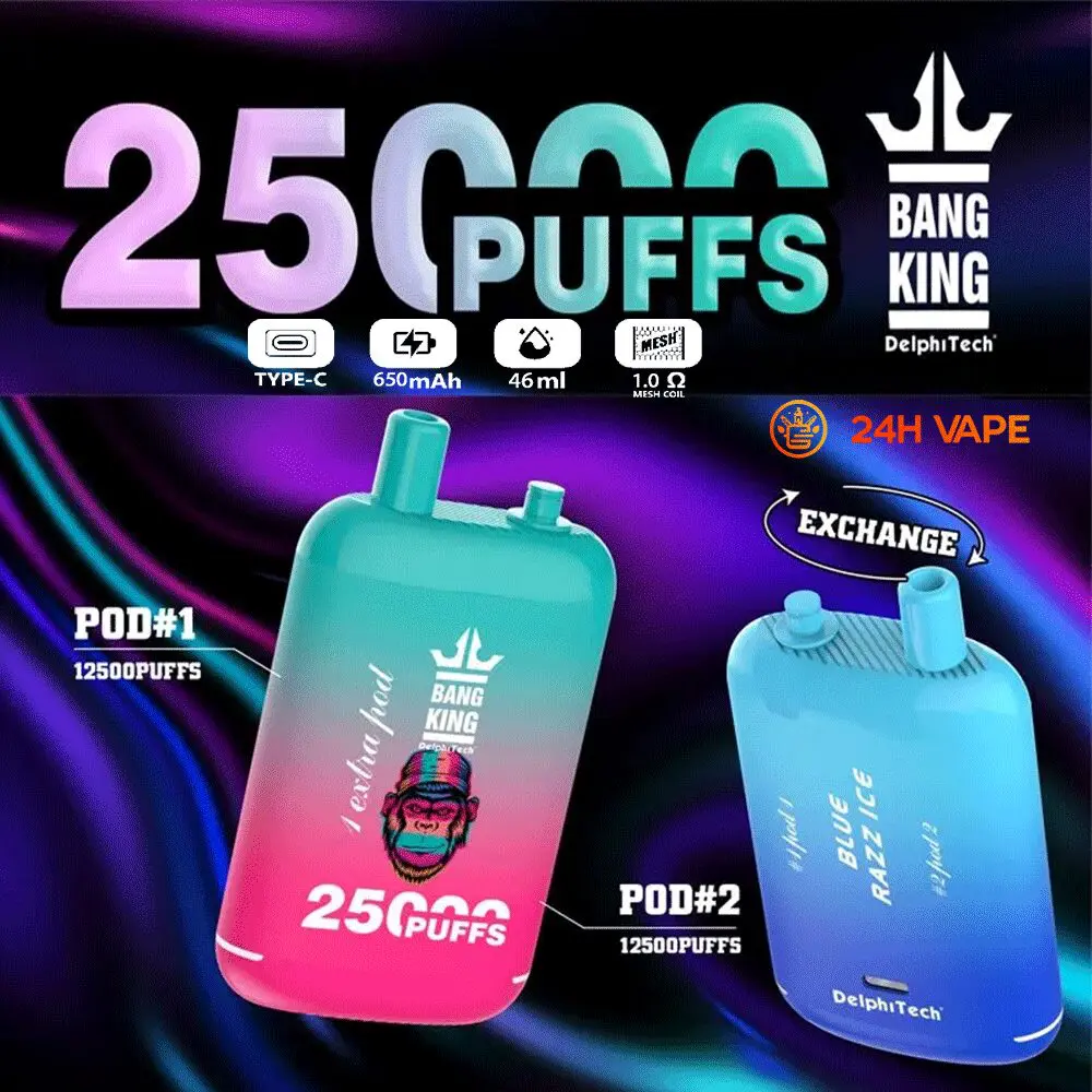 Bang King 25000 Puffs 0% 2% 3% 5% Nicotine Double Warehouser Disposable Vape Pod - Image 2