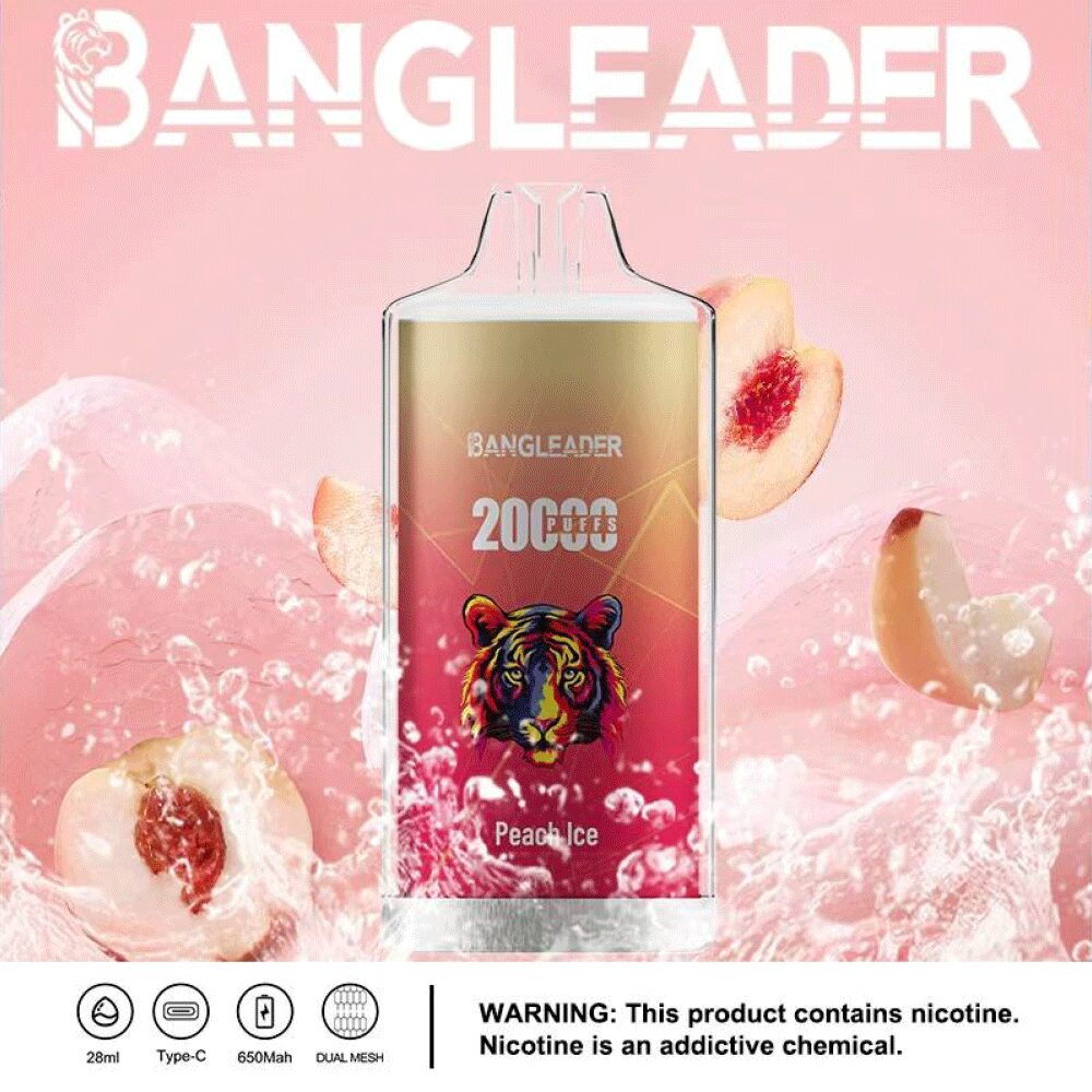 Bang Leader 20000 20K Puffs Newest Product Disposable Vape - Image 13
