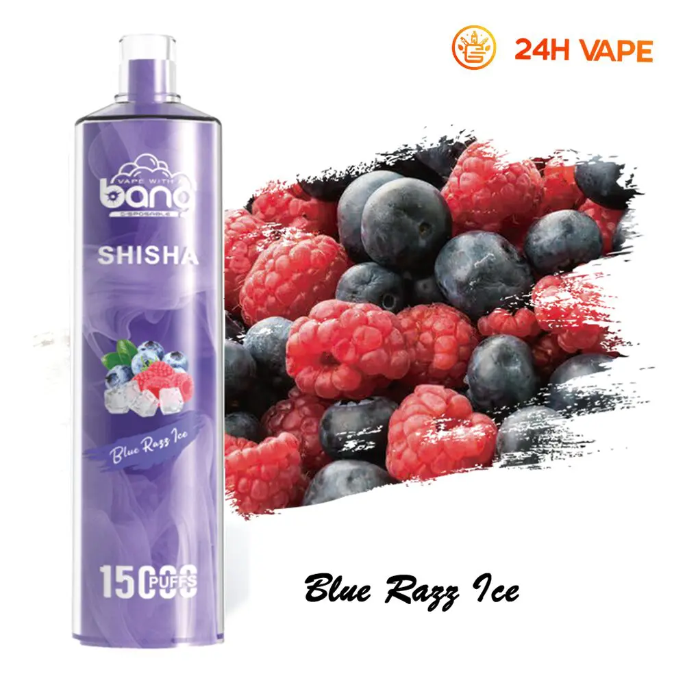 Bang SHISHA 15000 Puffs Direct To Lung Disposable Electronic Cigarette New Vape Pen - Image 36