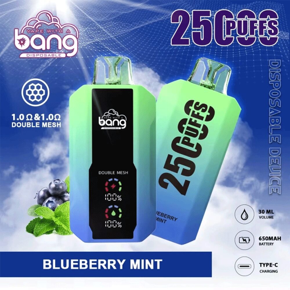 Bang 25000 25k Puffs 0% 2% 3% 5% Nicotine New LED Display Vape Electronic Cigarette Pod - Image 27